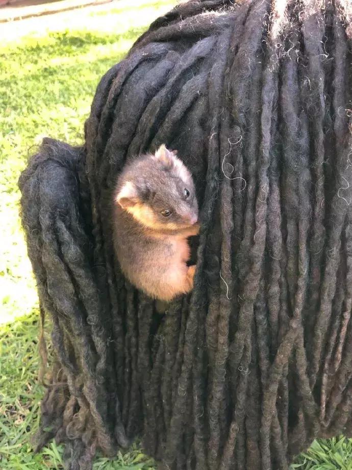 国外真人服装店模特,美国服装模特