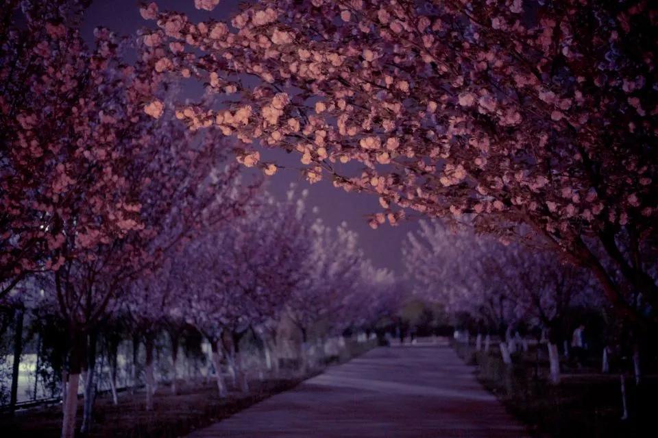 这等世外仙境竟然在西南交通大学希望学院?