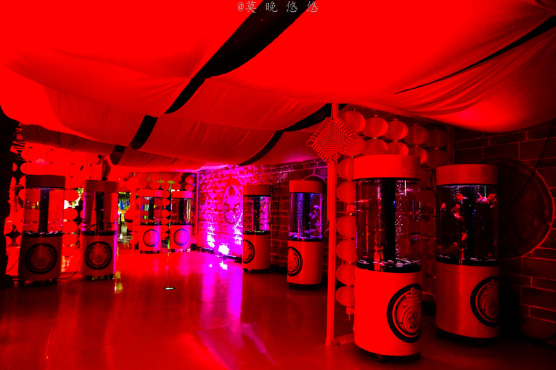 海洋极地海洋世界攻略,正佳极地海洋世界白鲸海象