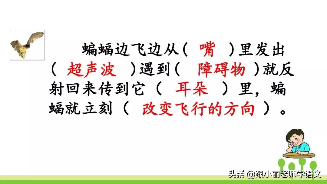 语文思维导图四年级上蝙蝠和雷达,人教版四年级上册蝙蝠和雷达朗读