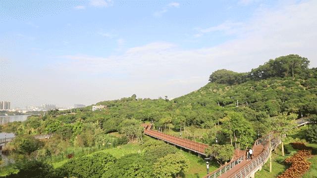 深圳免费公园哪里最好啊,深圳十大免费公园景点大全