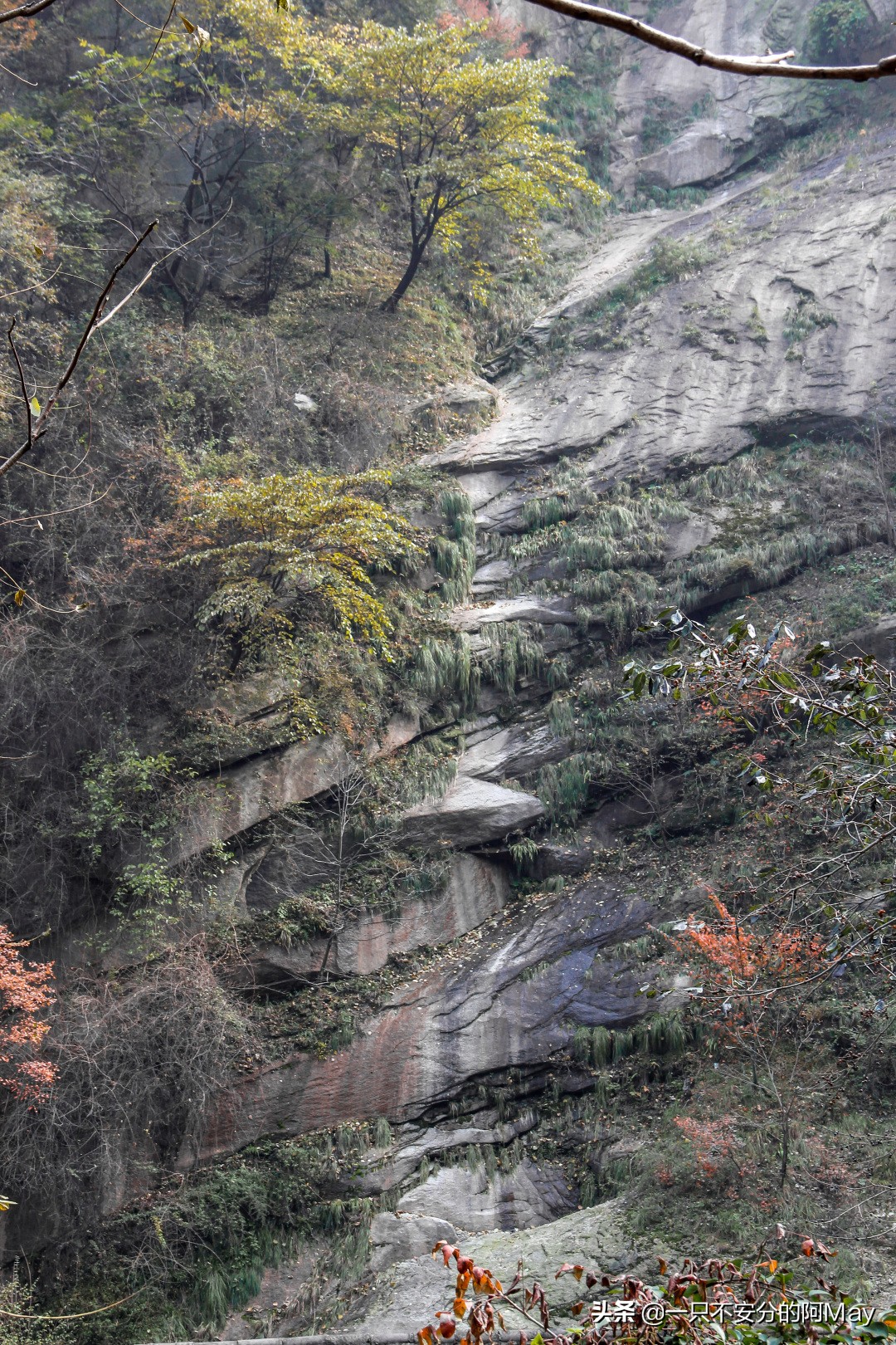为什么爬华山都是夜爬,华山自古一条道很有必要爬吗