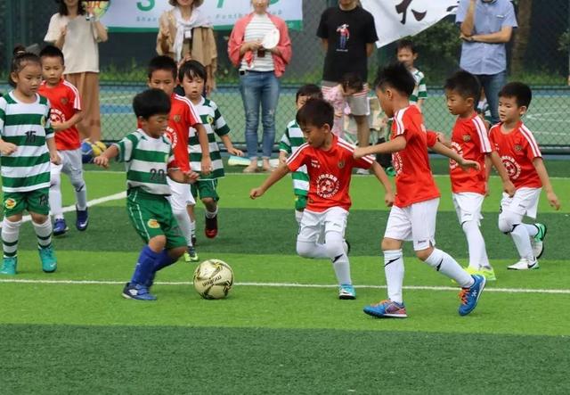 一个奥运冠军训练一年要花多少钱,培养一个奥运冠军需要多少钱