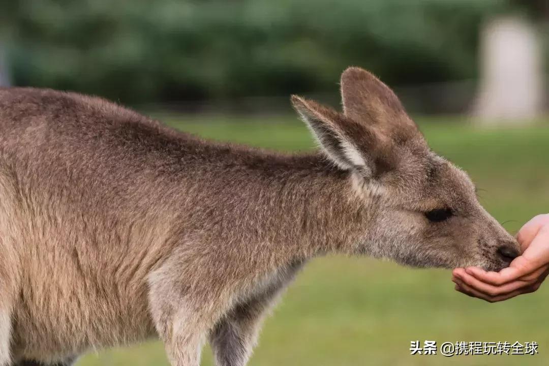 寒假带孩子体验艰苦生活的地方,千万不要轻易带孩子去这几个地方