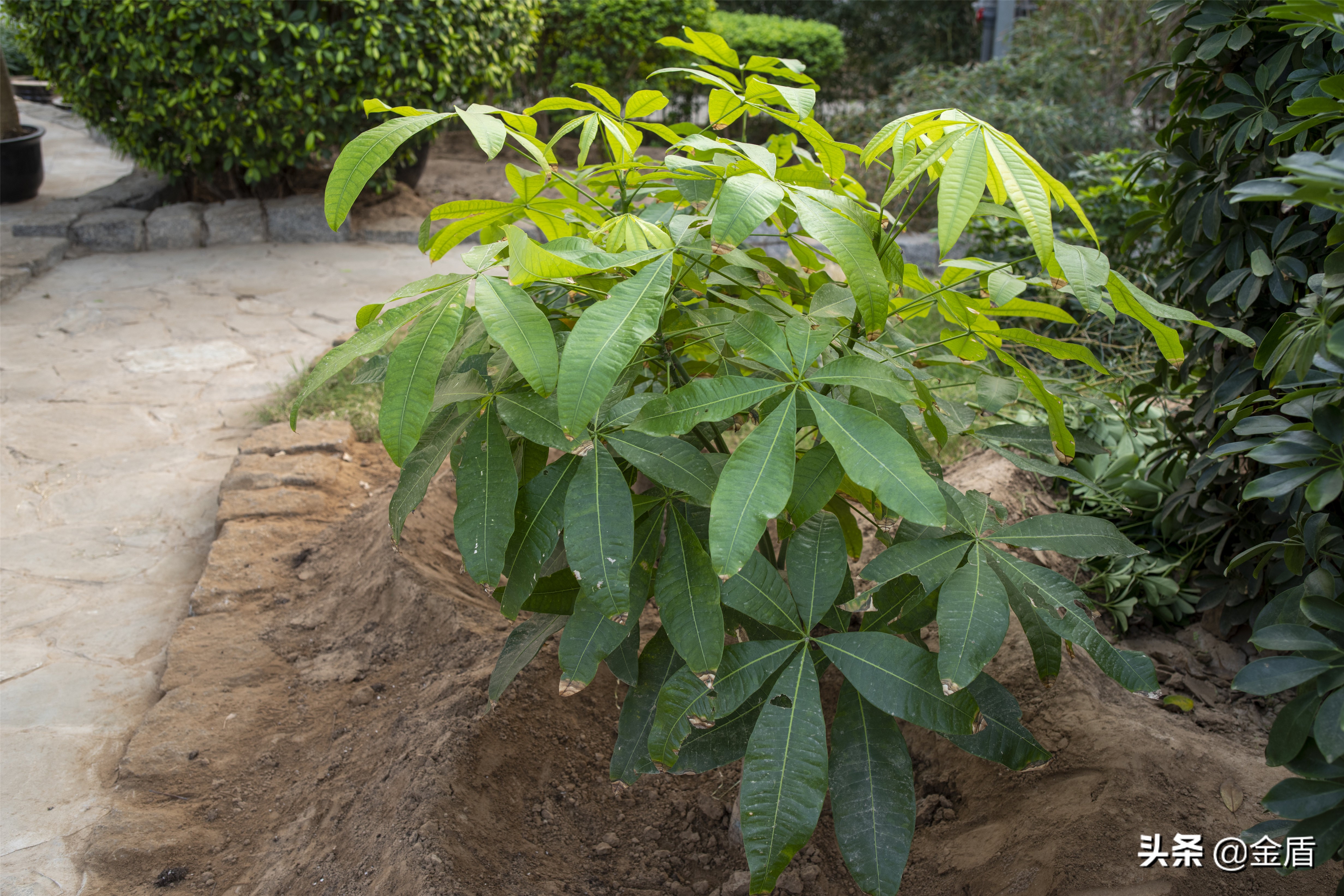九天休闲谷游览攻略,九天休闲谷欢迎您游玩