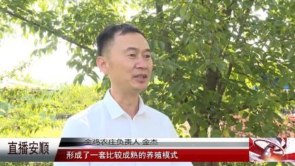 金鸡农庄田园综合体,金鸡农庄生态农业发展有限公司