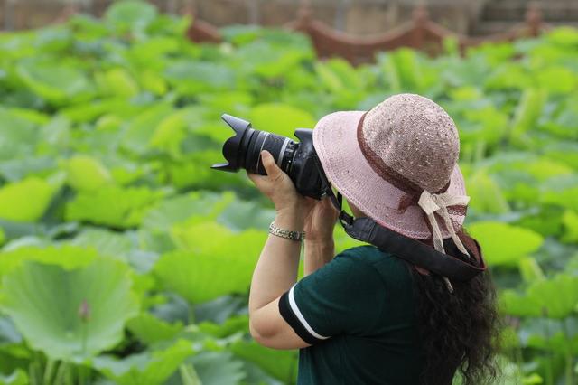 致我最好的闺蜜涛姐
