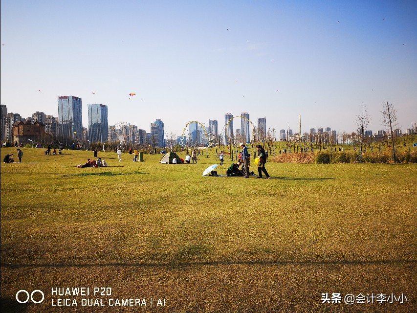 巢湖岸上草原,合肥岸上草原照片