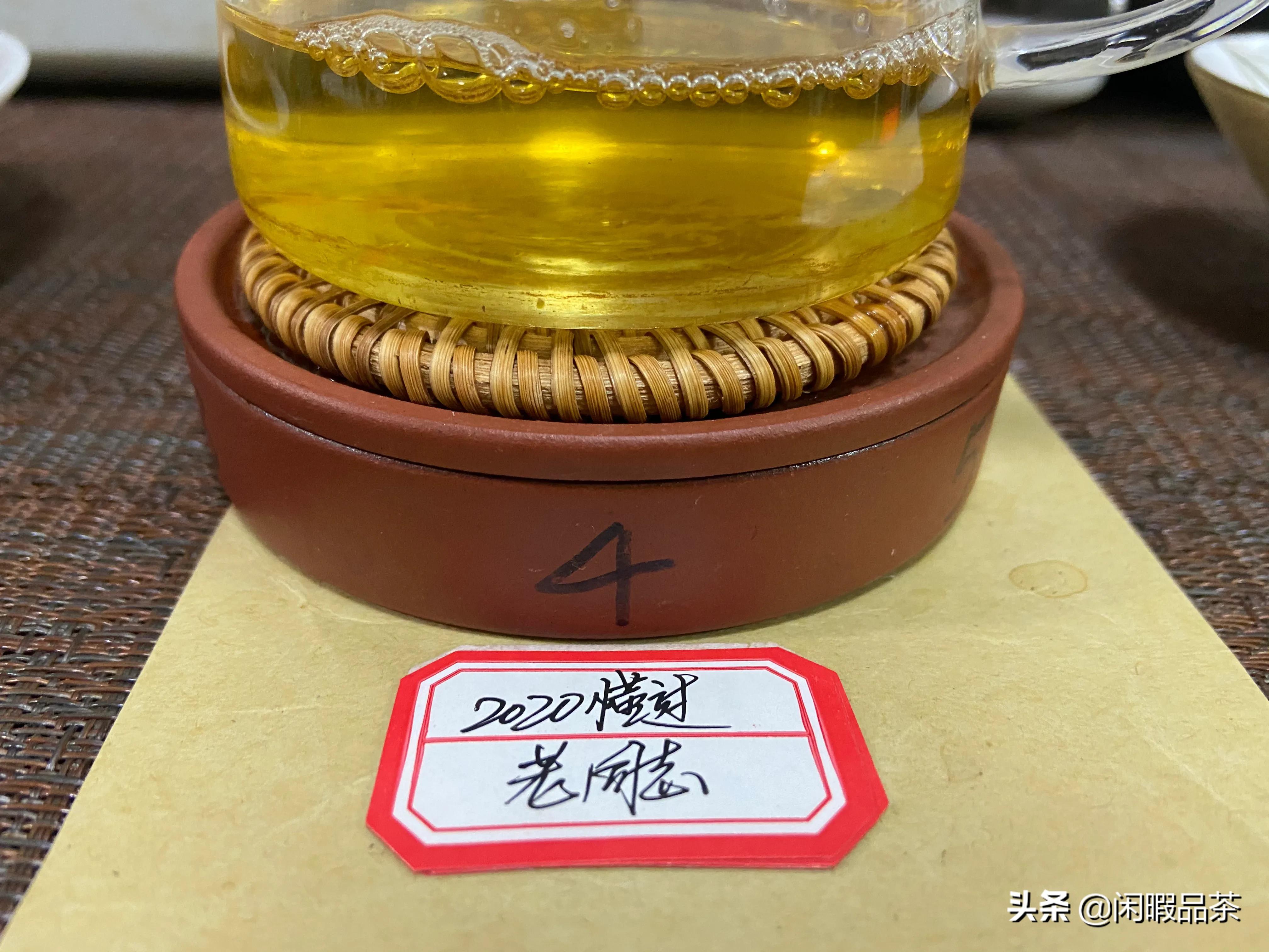 [闲暇品茶]第21-04期2020老同志懂过生普（中山起湾）