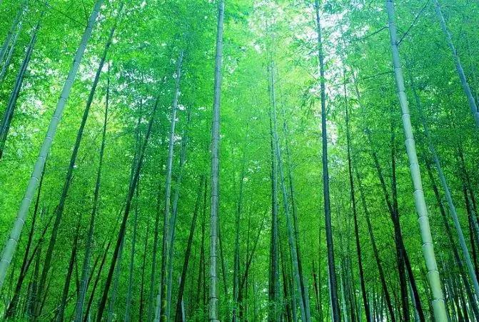 真实的黄果树瀑布景区,中国顶级美景黄果树瀑布