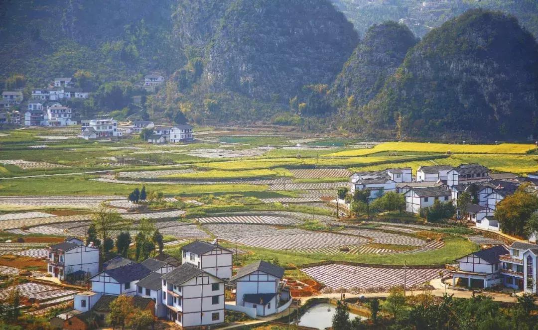 12月份白菜价格,昆明去各地的特价机票有哪些