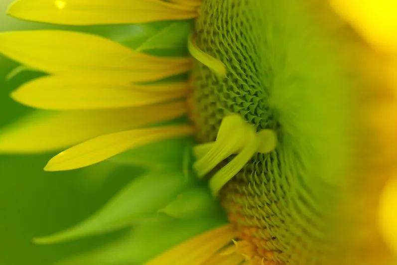 一看就懂的画质,一看就懂深度解析