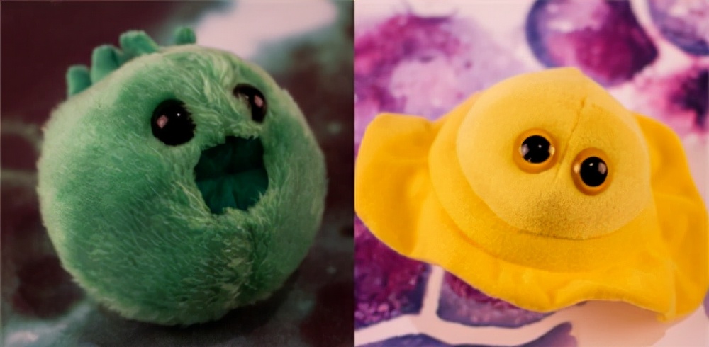 日本死亡日记本,日本死蚊子印章