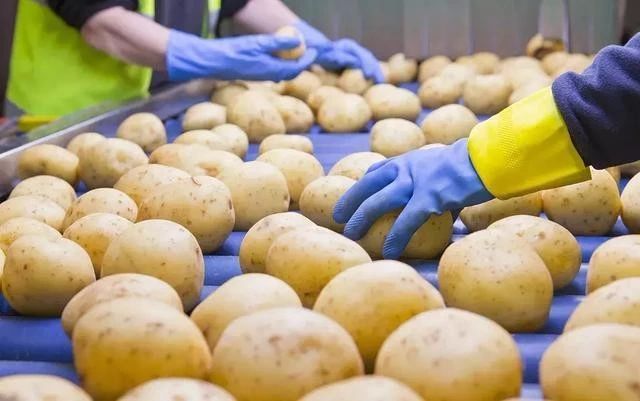 大型生猪养殖农业补贴,生猪养殖新型农业主体贷款