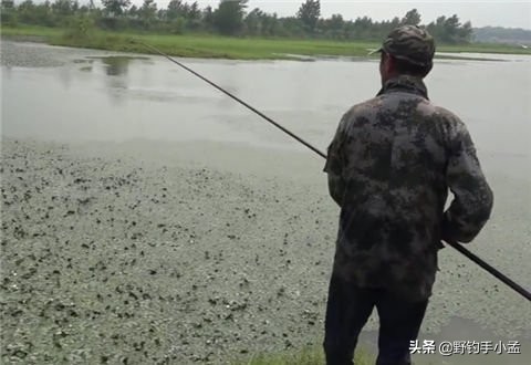 野河路亚钓黑鱼绝密技巧,藕塘路亚黑鱼的钓法和技术