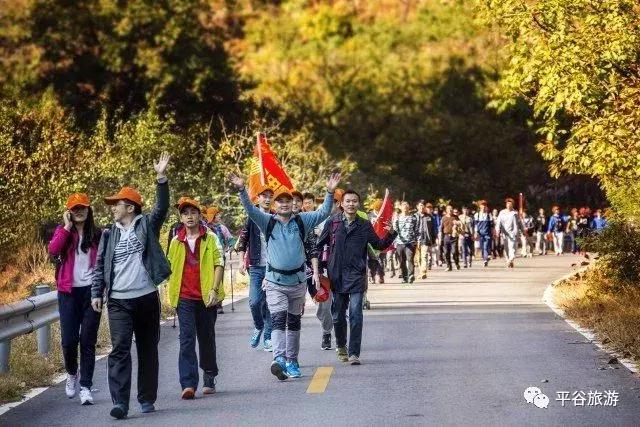 北京平谷第二十一届桃花节开幕,北京平谷桃花节最佳观赏地址