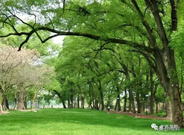 龙岩清凉避暑好去处,龙岩拍照有氛围感的地方