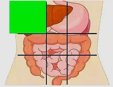 肚子上腹的位置疼什么原因,中下腹肚子痛是什么原因