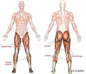 瑜伽桥式变体的好处,瑜伽臀桥式