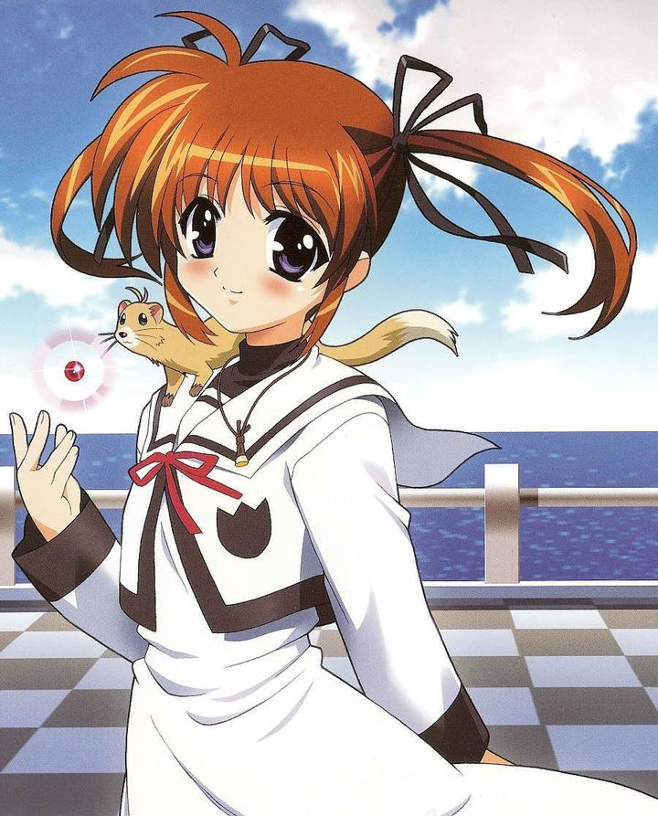 奈叶怎么变样子,奈叶逆袭之路