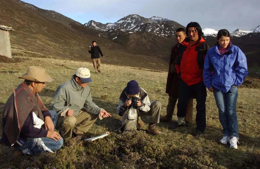 不只是医书带你真正了解本草纲目,盘点不同版本的本草纲目