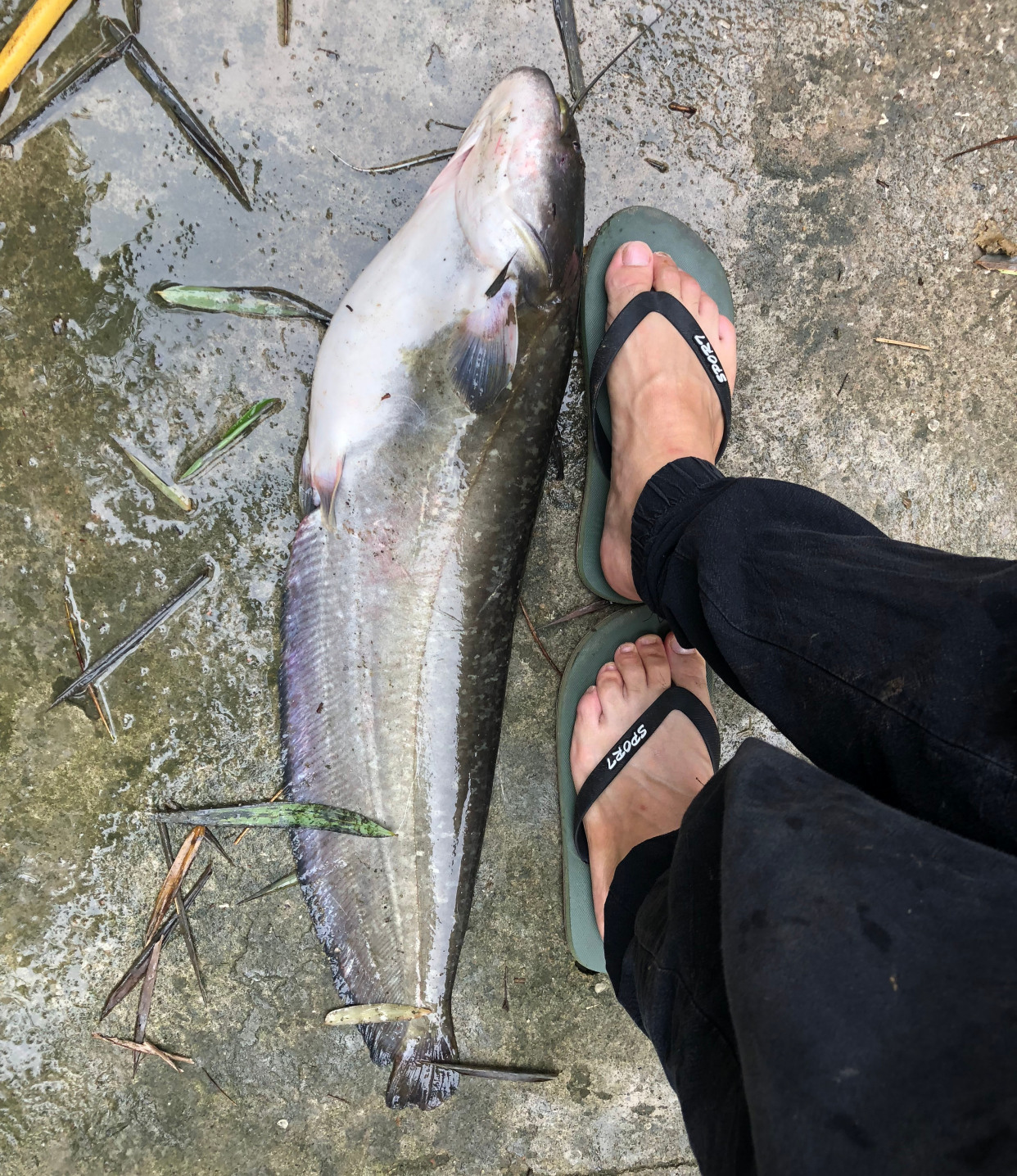 路亚入门路亚如何才能钓到鱼,淡水路亚怎么钓中鱼率高