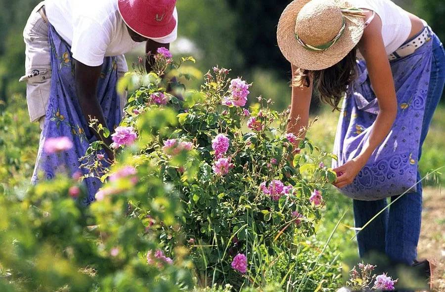 世界上最有年味的小镇,世界上最清幽的小镇
