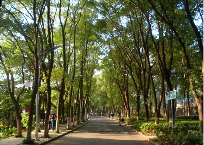 考得好不如报得好！江西财经大学严重“断档”，狂跌8万位次