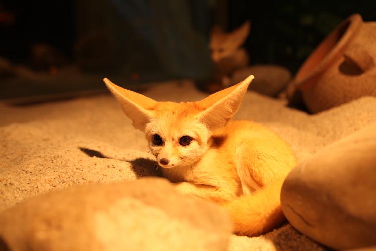 MALL力MAX,超人气品牌齐聚重庆江北东原·悦荟·新新Park