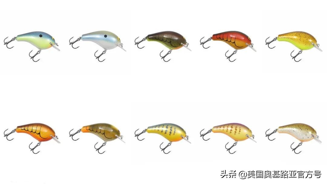 2024全国渔具展会一览表最新,2022年全国渔具展在哪