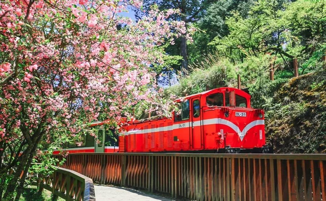 六款非常神仙的伴手礼,回家过年好礼品