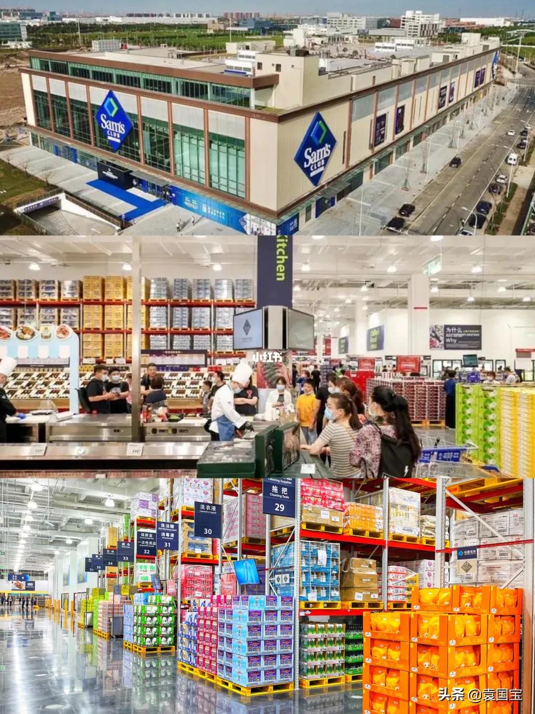 谁才是商朝的救世主,谁才是穷人的救世主