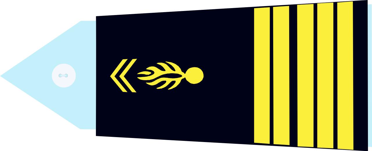 法国将军军衔等级,法国上校是什么军衔