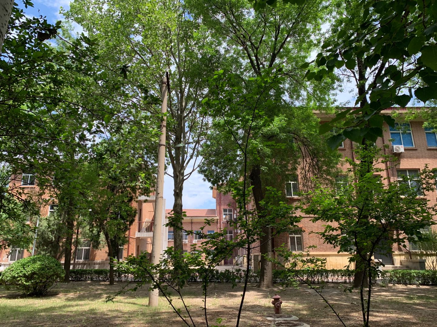 河北省双一流大学名单最新名单,河北工业大学河北唯一的双一流