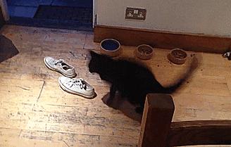 脚气痒的感觉,脚气脚底板走路感觉有个疙瘩