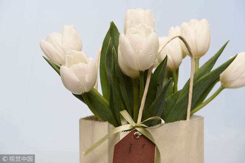 展现真诚与坚韧,展示你的真诚