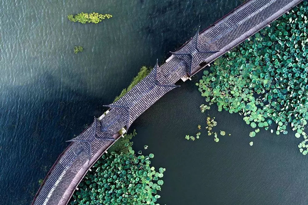 中国最有意思的县级市既是水乡界的杠把子，还有爆火的网红建筑