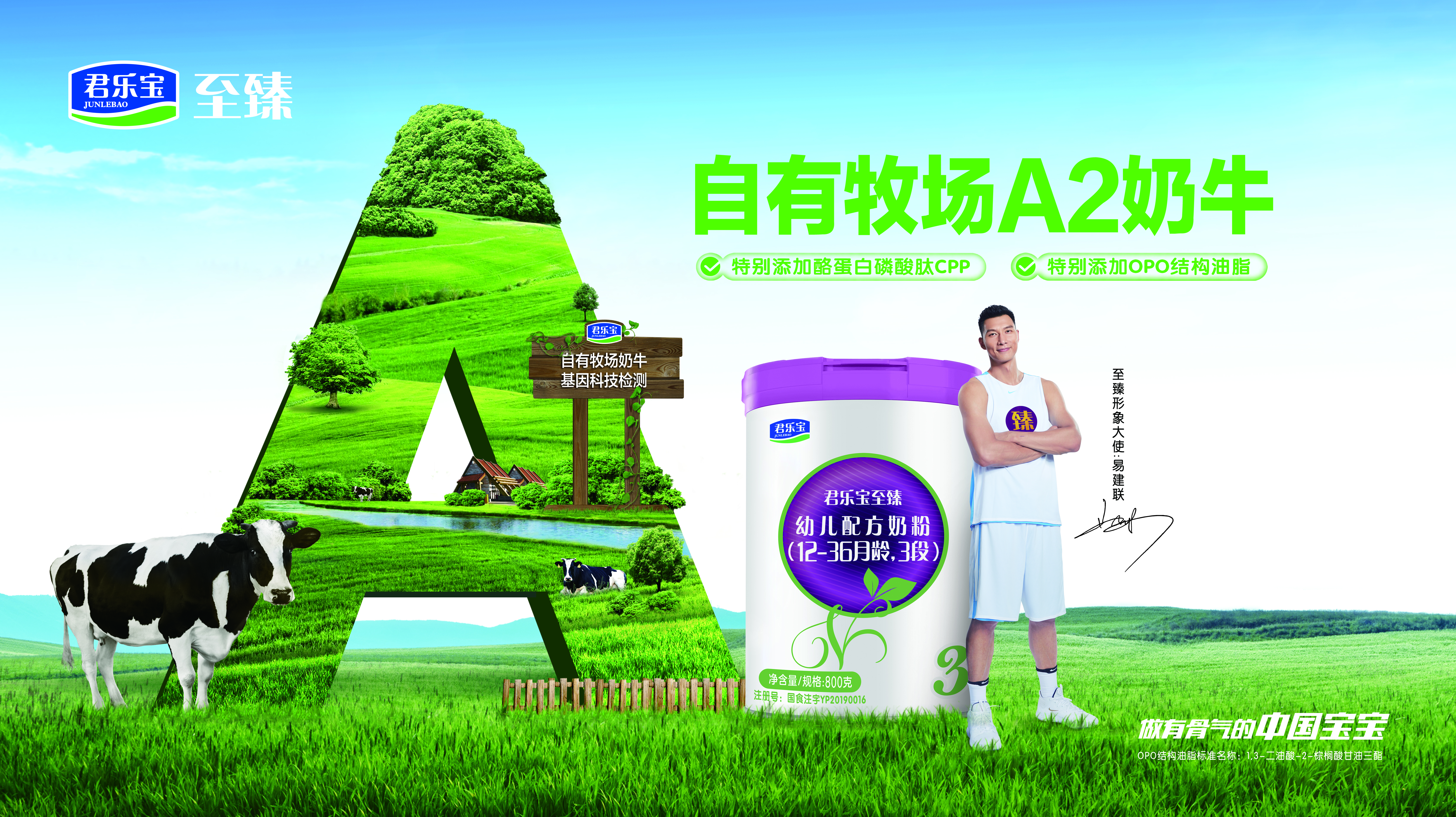 君乐宝要让下一代喝上好奶粉,国产奶粉崛起了