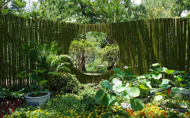 苏州拙政园园林借景,苏州拙政园唯美意境