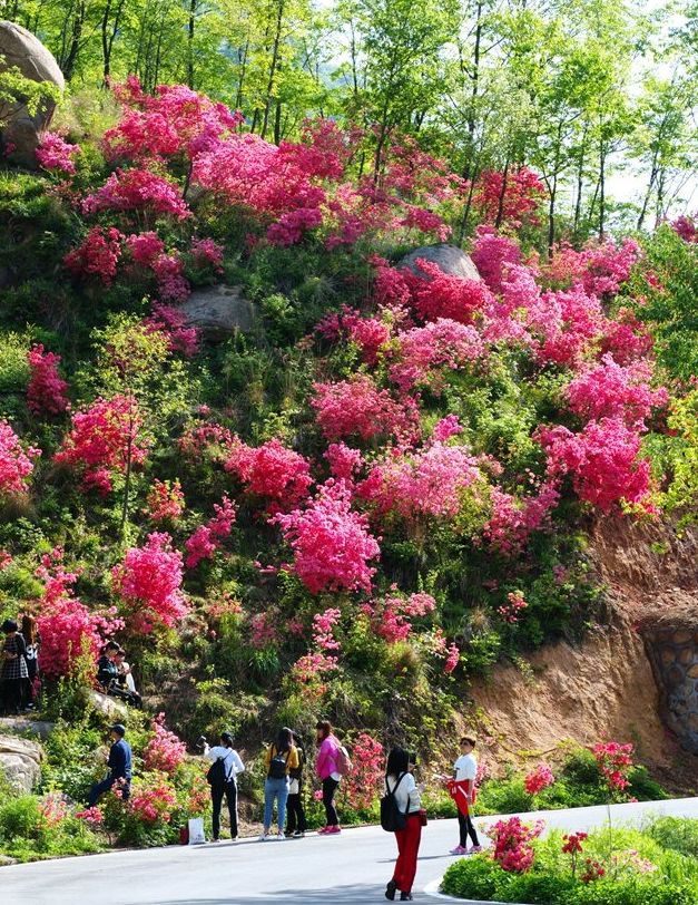 西泰山的特点是什么,西泰山为啥叫西泰山