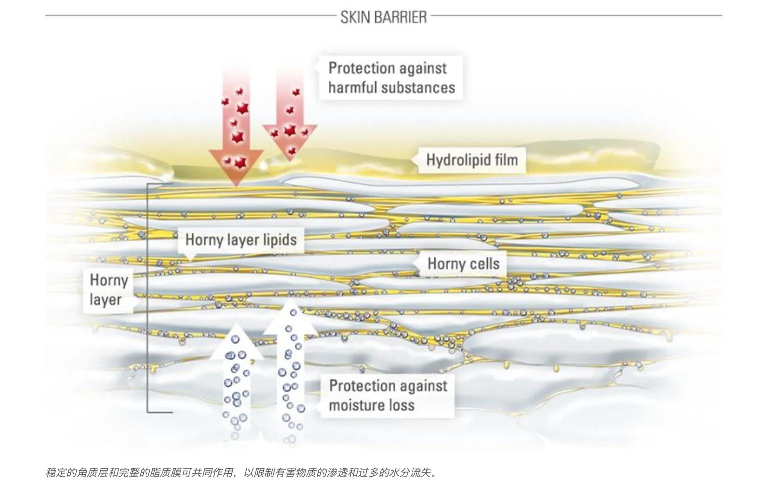 敏感性皮肤的正确护理方法,敏感性皮肤应该如何护理和治疗