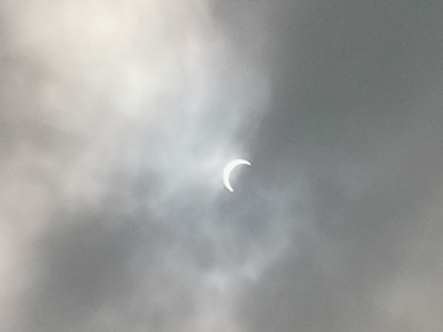 《中国诗歌周刊》2020年父亲节专刊(二)