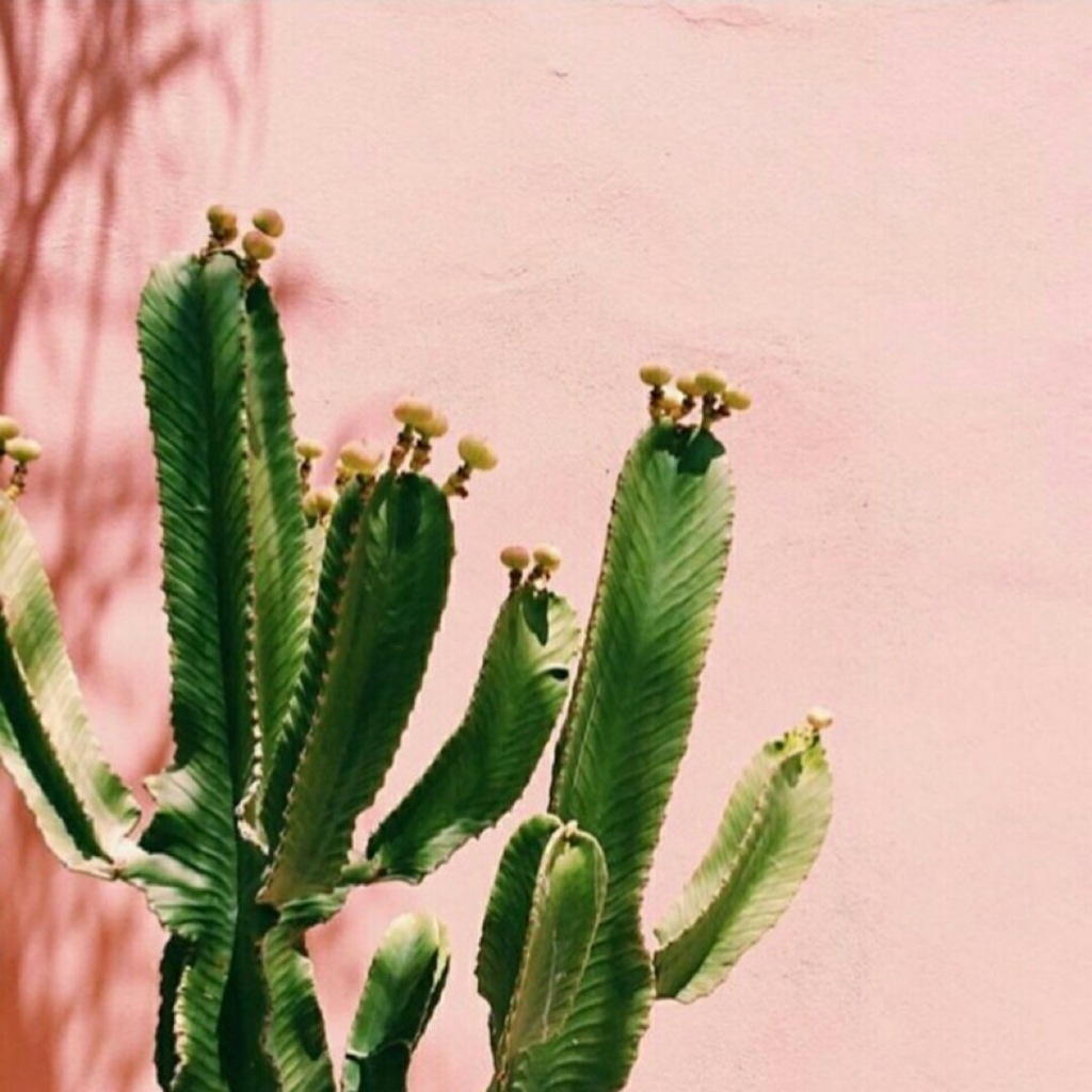 早上轻音乐欣赏放松心情,早上听了心情愉悦的轻音乐