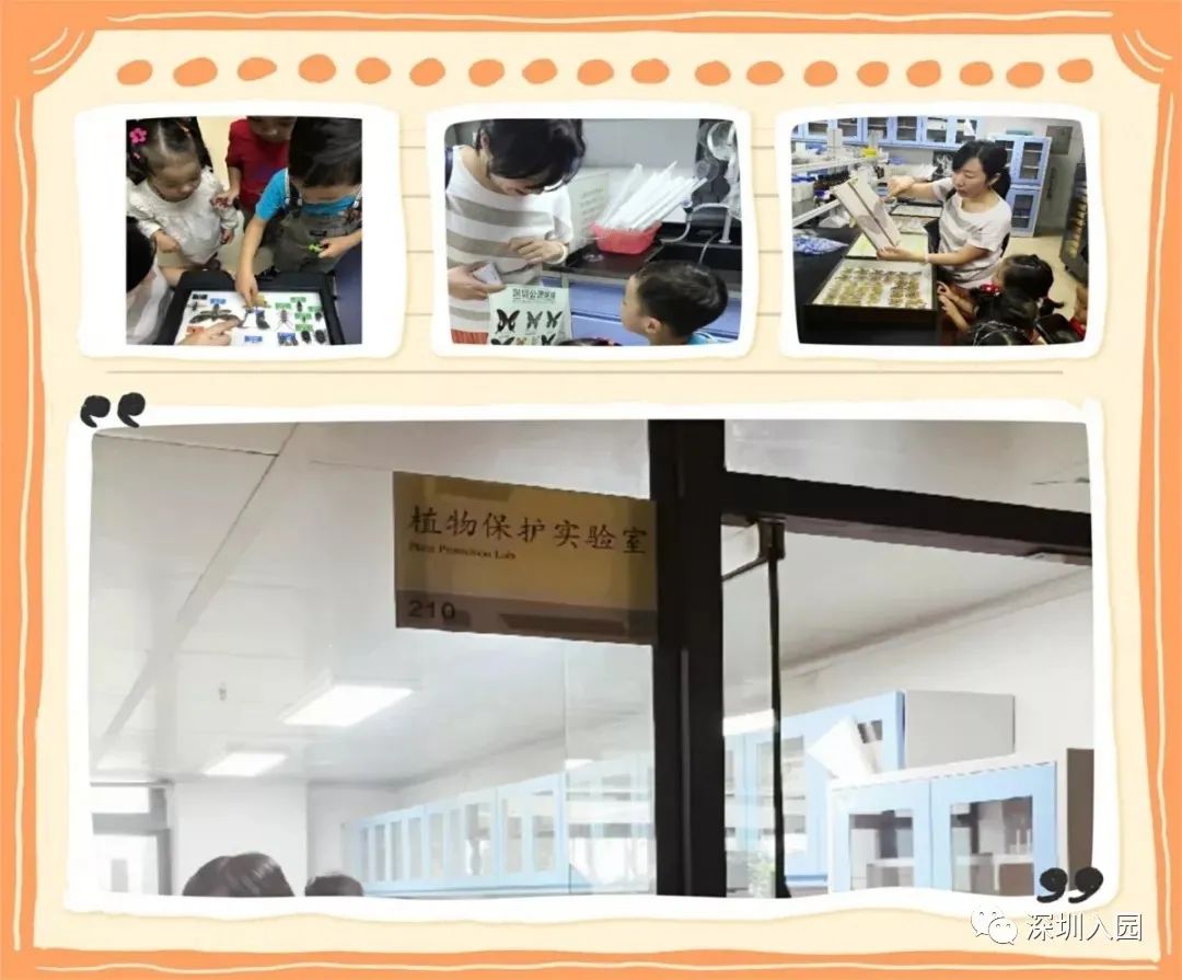 深圳十大最好的幼儿园,有钱你也上不了的深圳四所学校