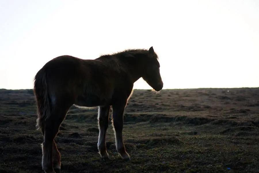 一个“不想上”北外的姑娘，却成为新中国的大使