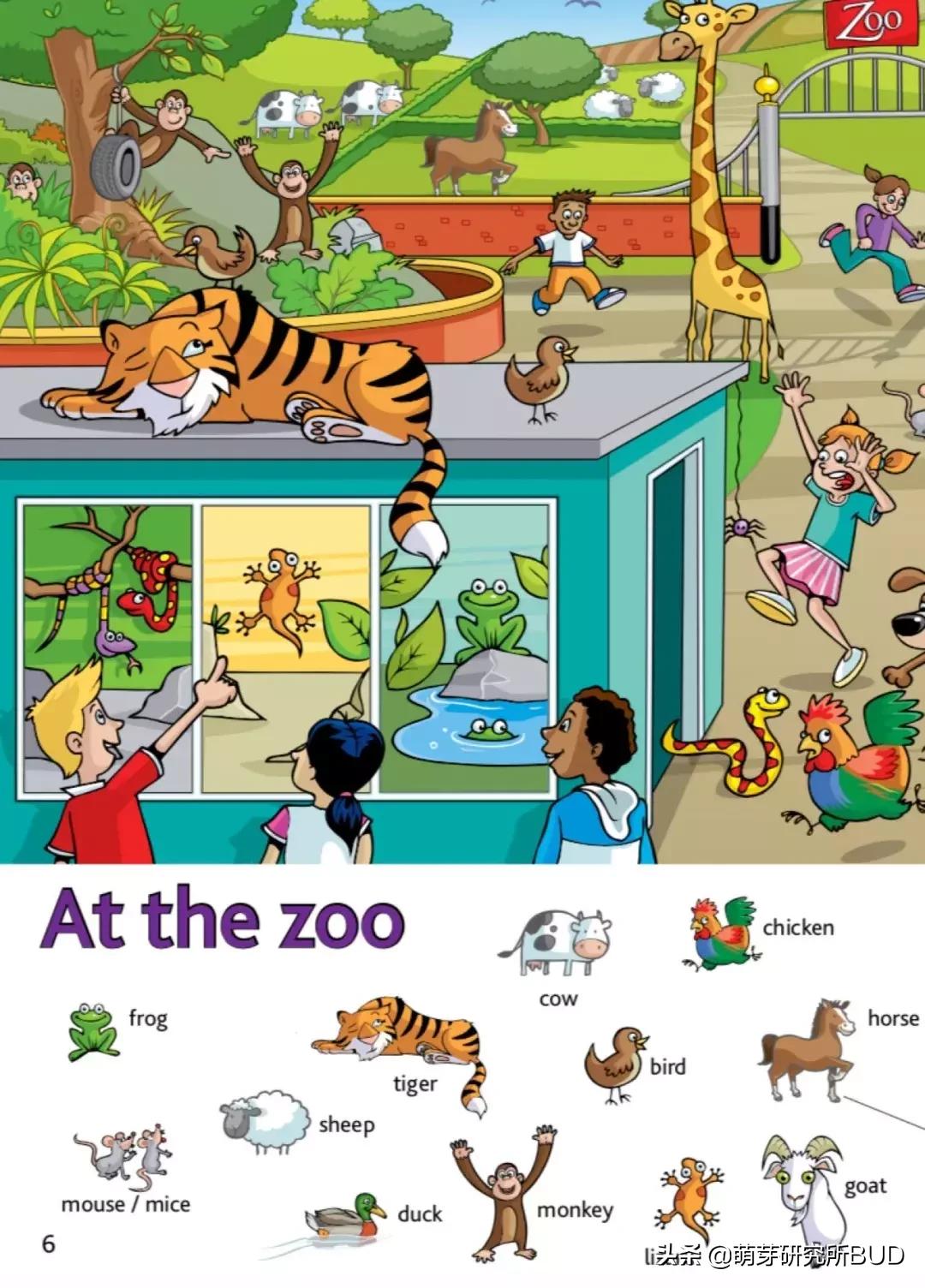 英语单词宝典,英语入门单词必背带音标