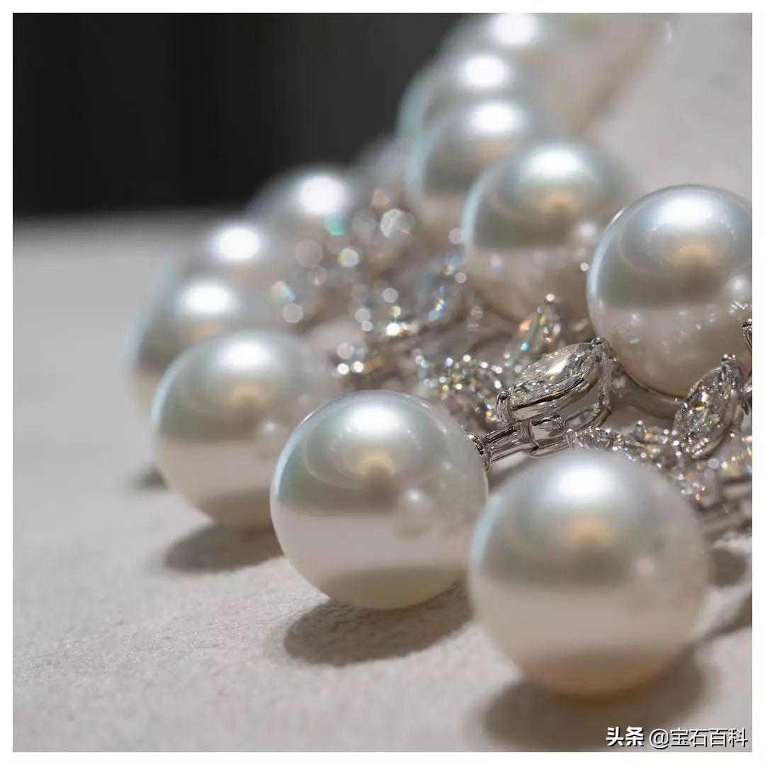 澳白珍珠和南洋金珍珠,澳白南洋白珍珠