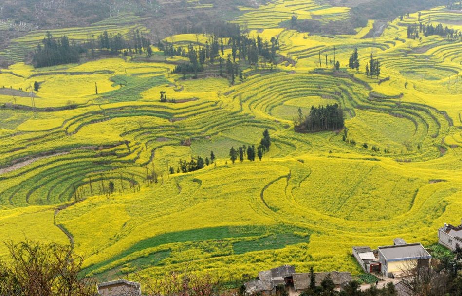 一路向滇西出发,一路向富宁出发