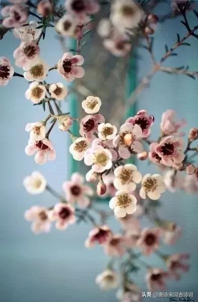 负你一生多少泪，月下花前