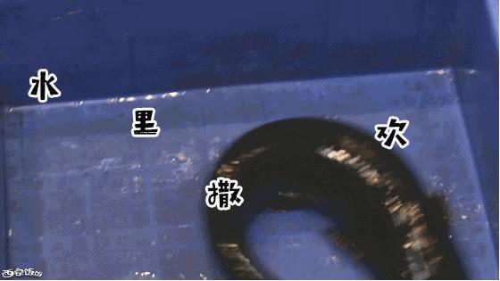 香Skr人!这家店排了两个小时?饭饭送你免排队黑卡内含¥?68